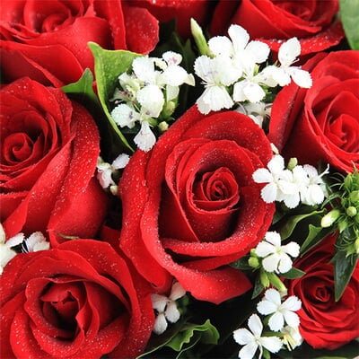 浪漫心情 商品图 4